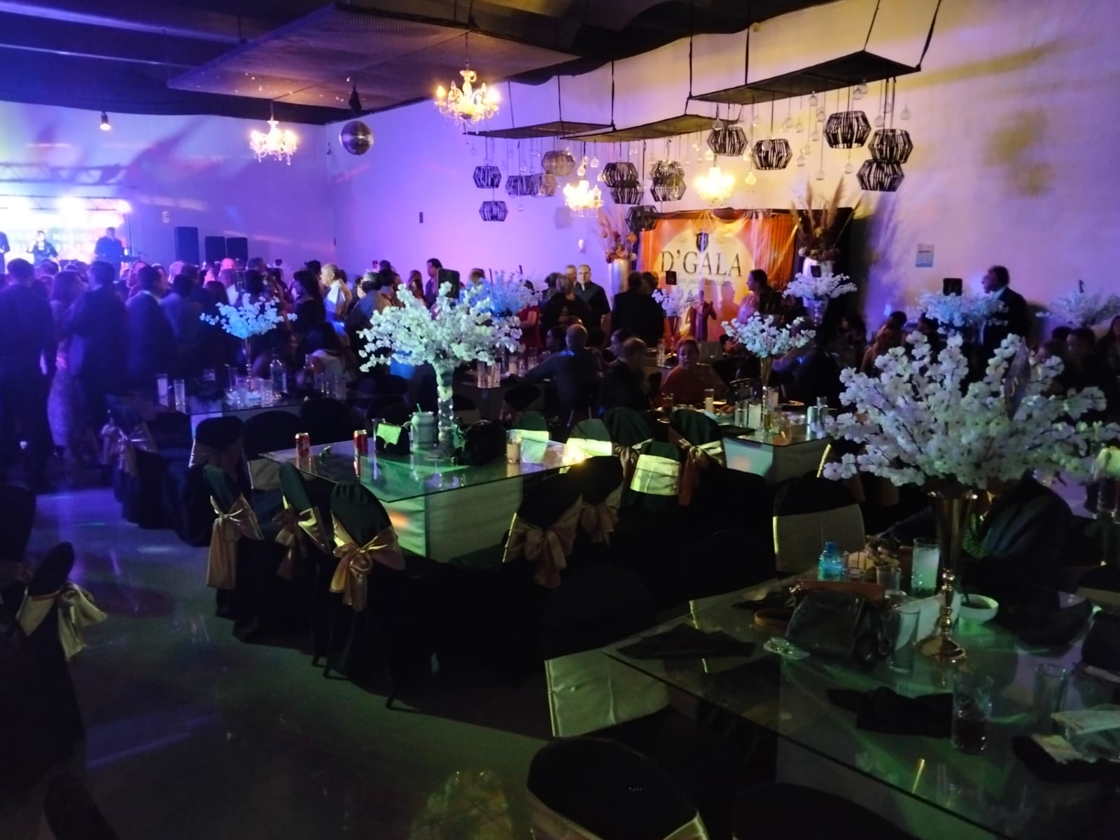 Pista de Baile en Festejo de XV Años con Música en Vivo, Iluminación DJ y Jóvenes Bailando